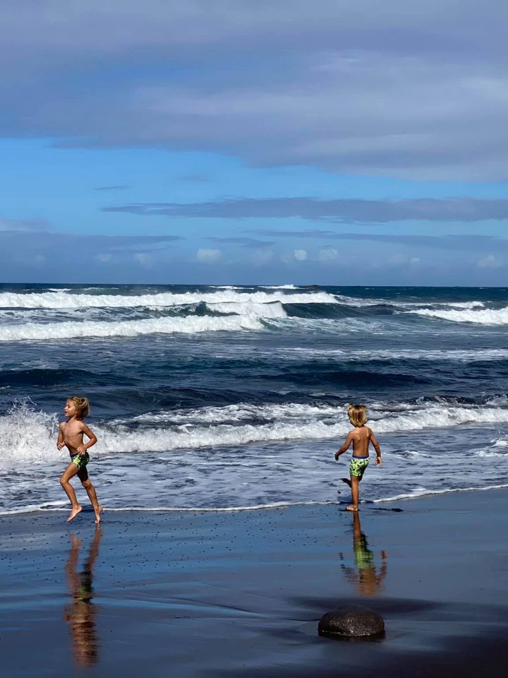 duke and baron pololu